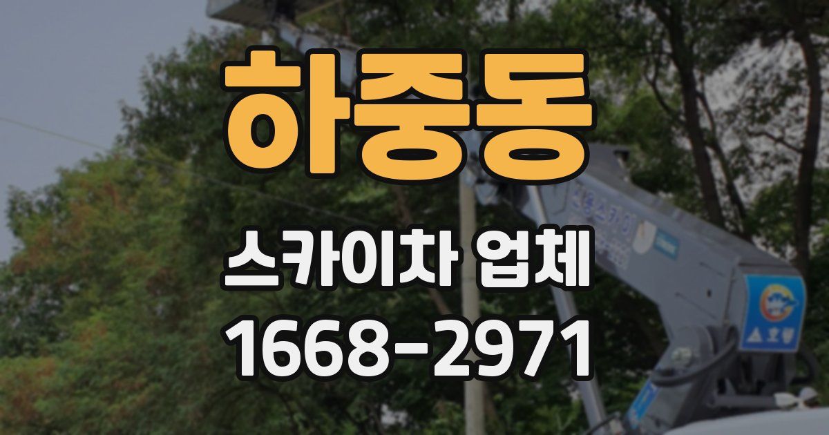 하중동 스카이차 업체