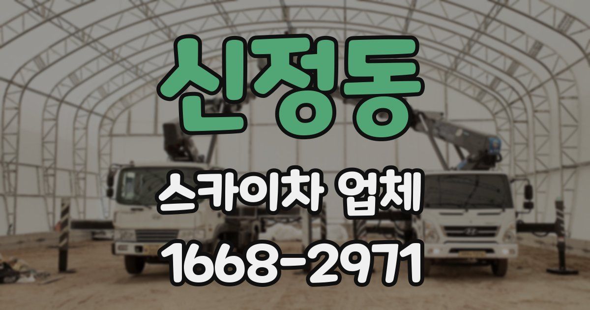 신정동 스카이차 업체
