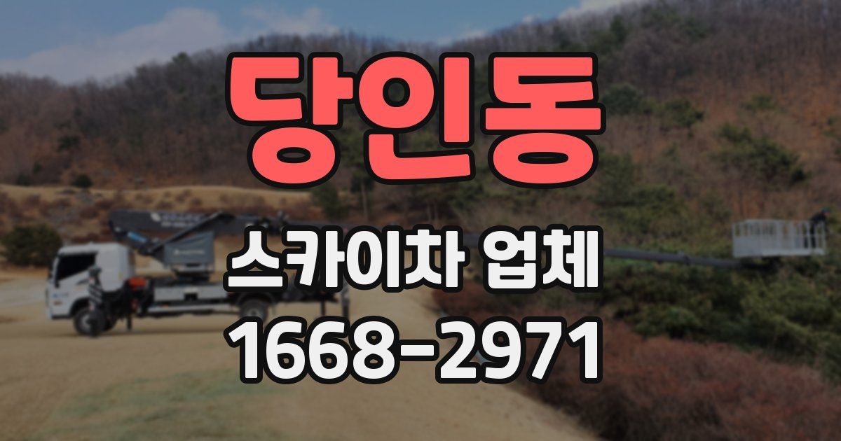 당인동 스카이차 업체