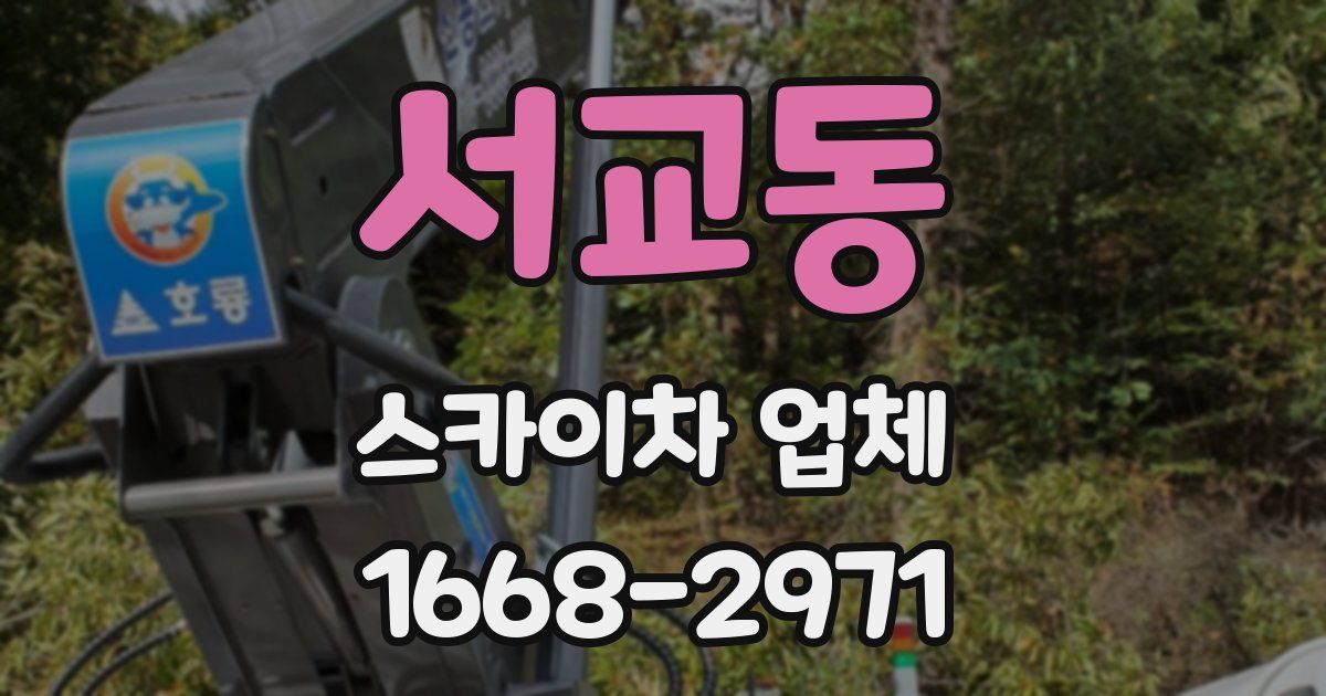 서교동 스카이차 업체