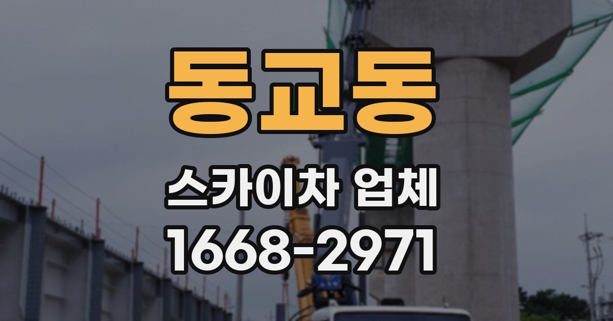 동교동 스카이차 업체
