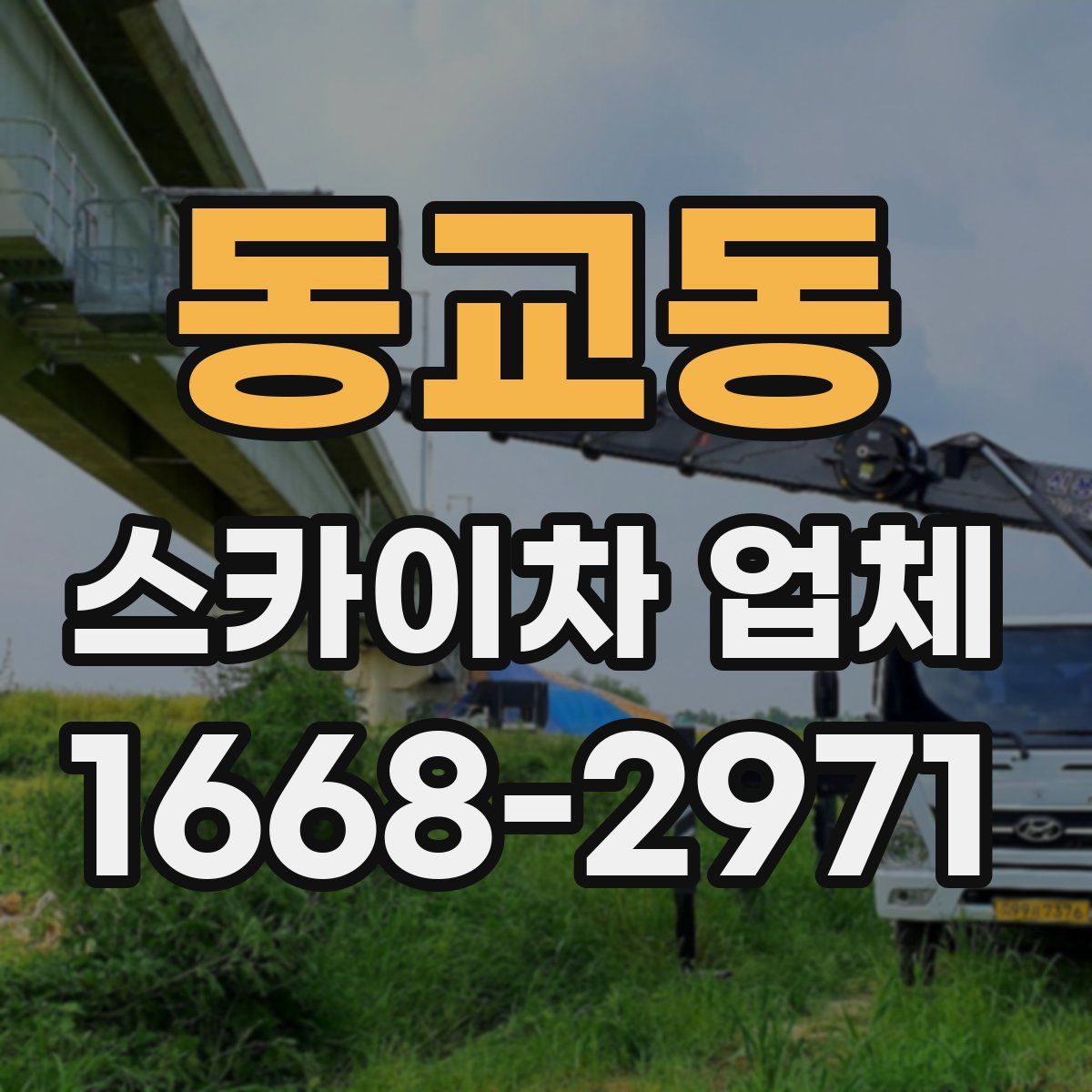 동교동 스카이차 업체