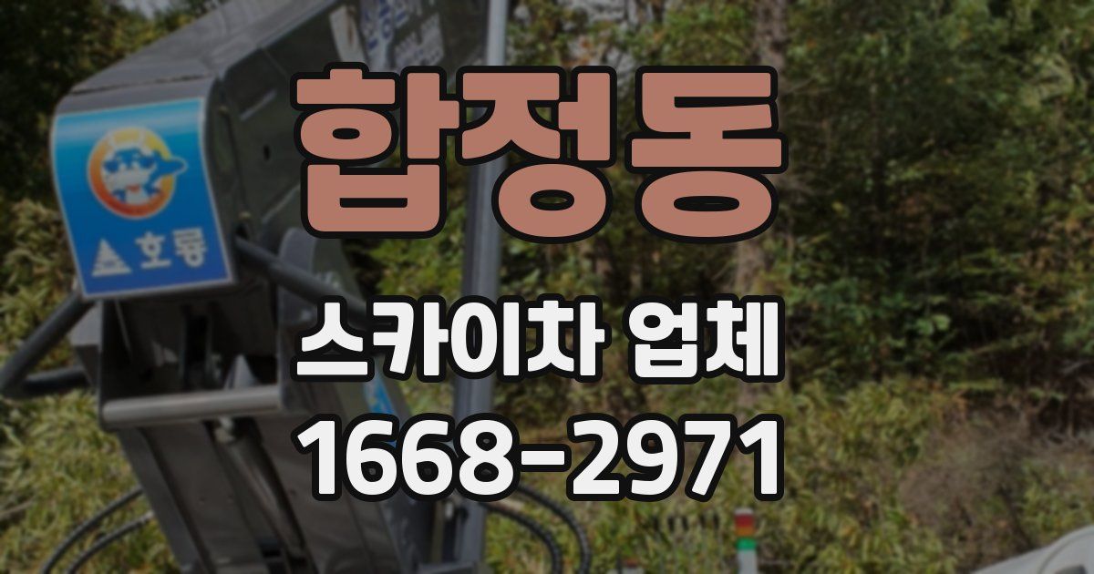 합정동 스카이차 업체