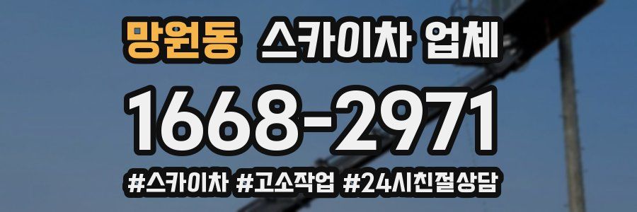 망원동 스카이차 업체