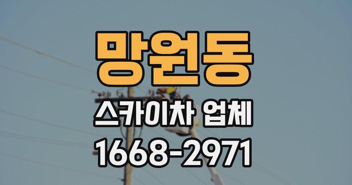 망원동 스카이차 업체