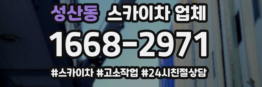 성산동 스카이차 업체