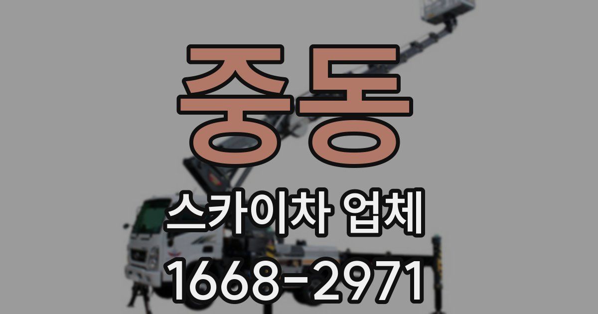 중동 스카이차 업체
