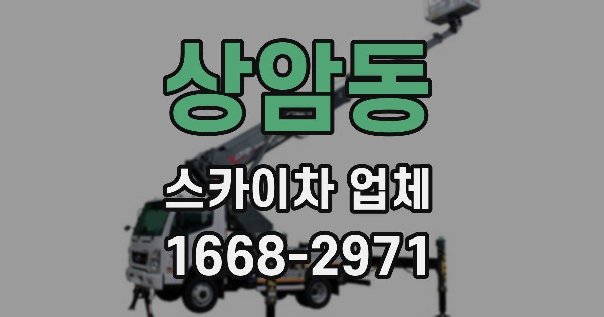 상암동 스카이차 업체