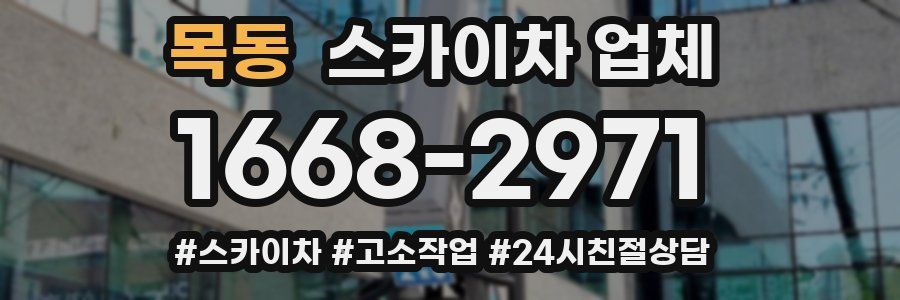 목동 스카이차 업체