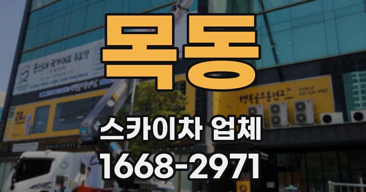 목동 스카이차 업체