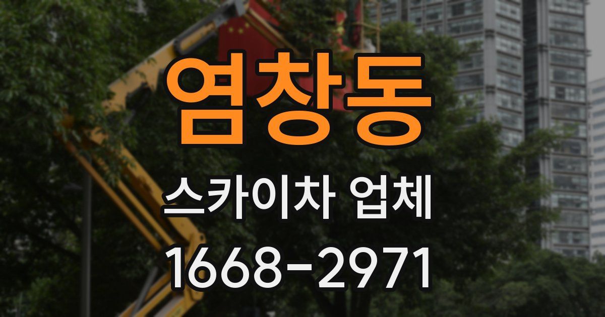 염창동 스카이차 업체