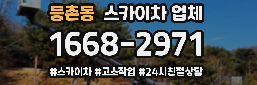 등촌동 스카이차 업체