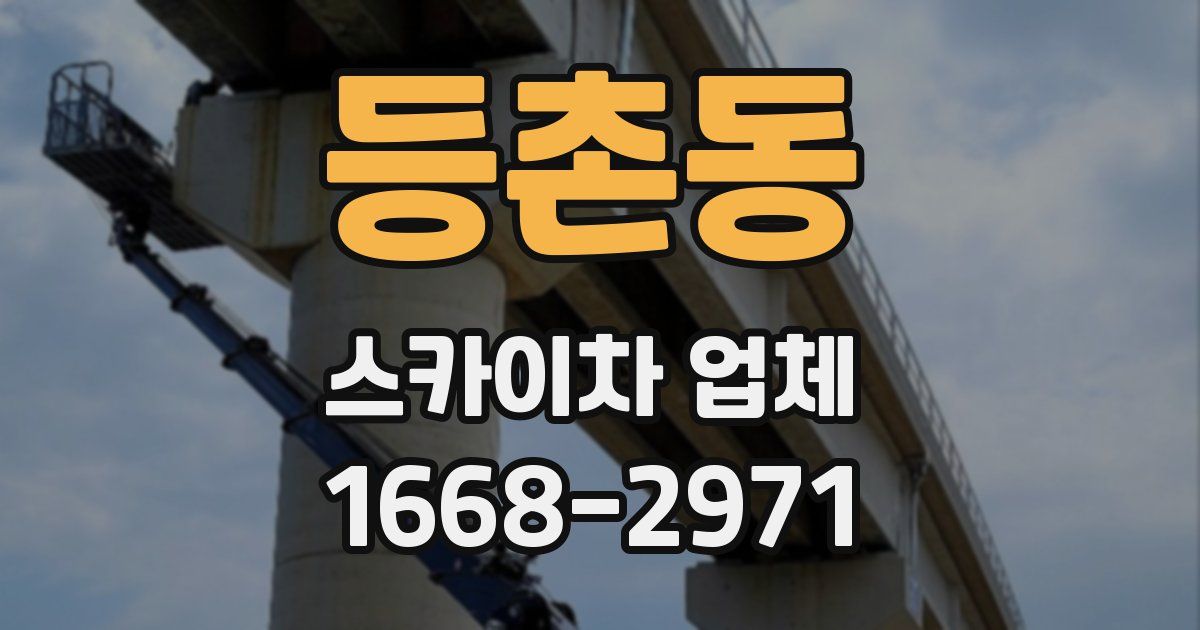 등촌동 스카이차 업체