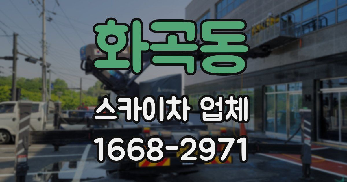 화곡동 스카이차 업체