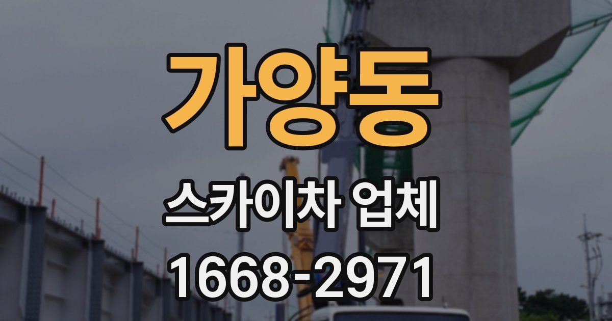 가양동 스카이차 업체