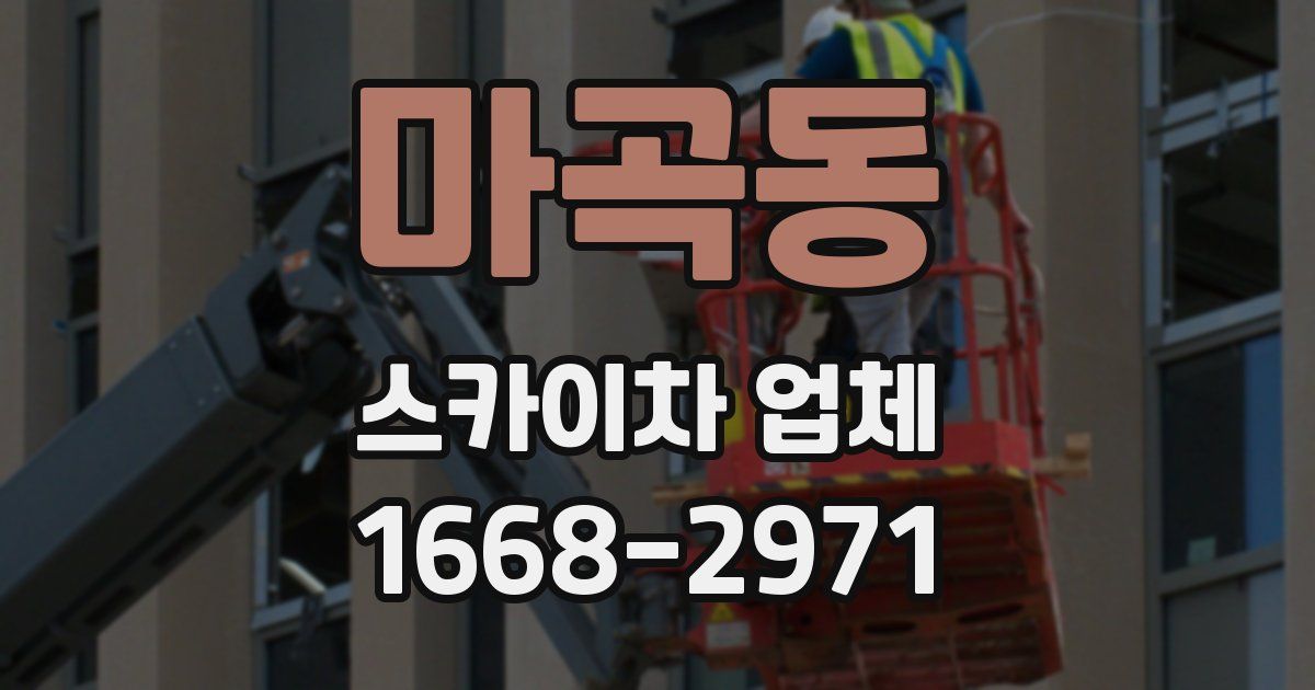 마곡동 스카이차 업체