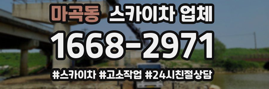 마곡동 스카이차 업체