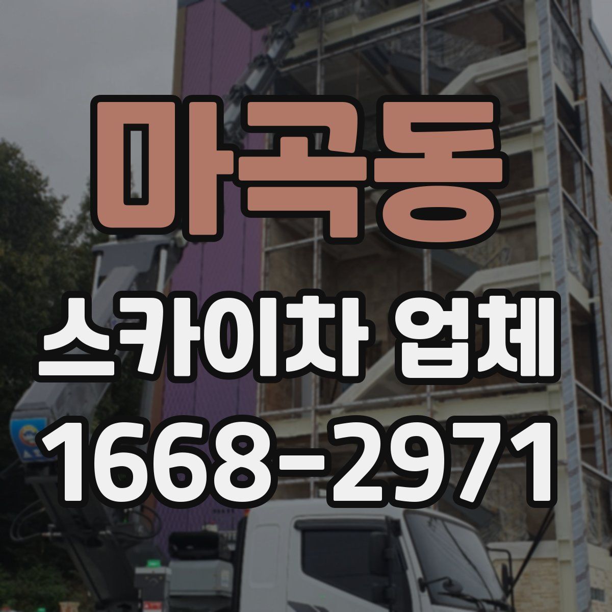 마곡동 스카이차 업체