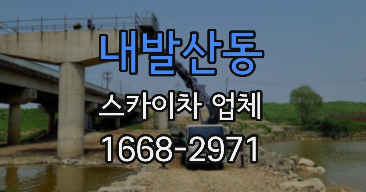 내발산동 스카이차 업체