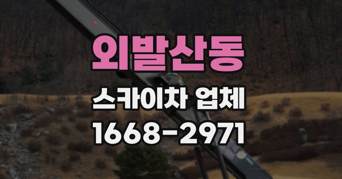 외발산동 스카이차 업체