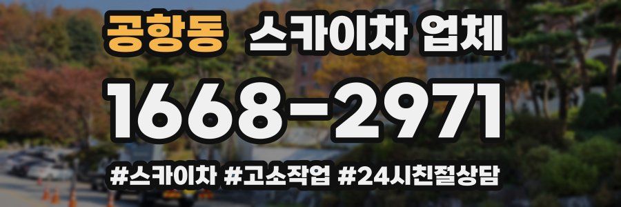 공항동 스카이차 업체