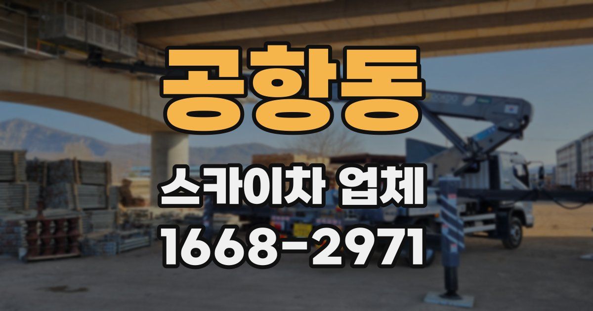 공항동 스카이차 업체
