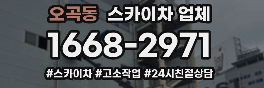 오곡동 스카이차 업체