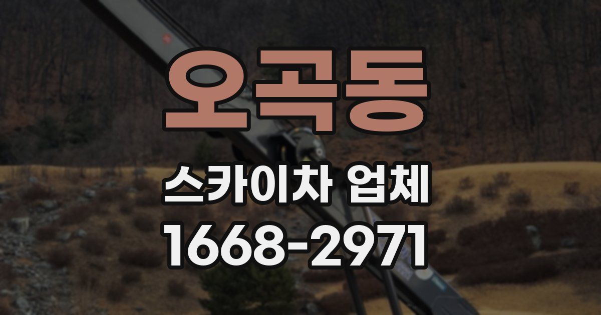 오곡동 스카이차 업체