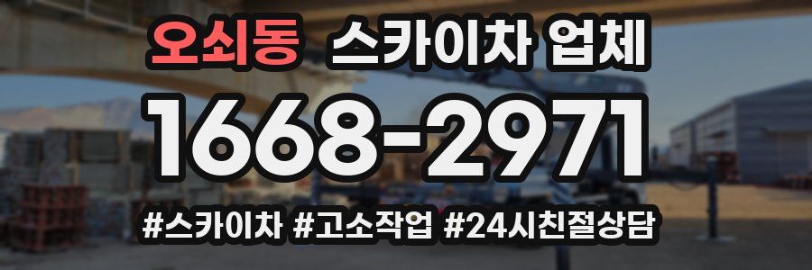오쇠동 스카이차 업체