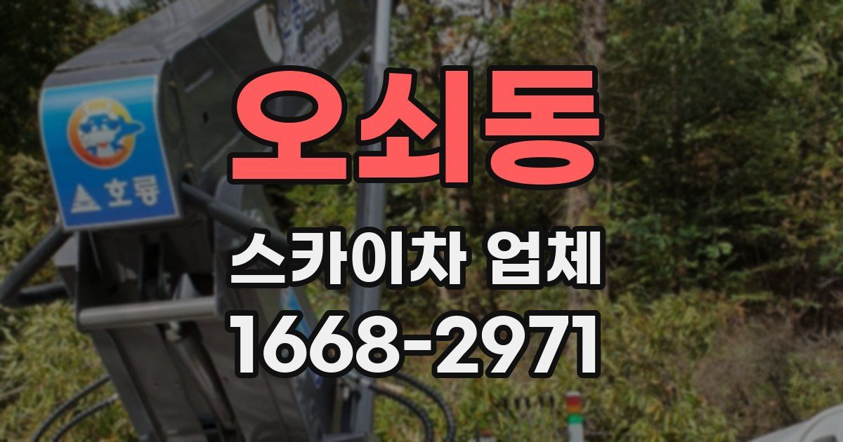 오쇠동 스카이차 업체