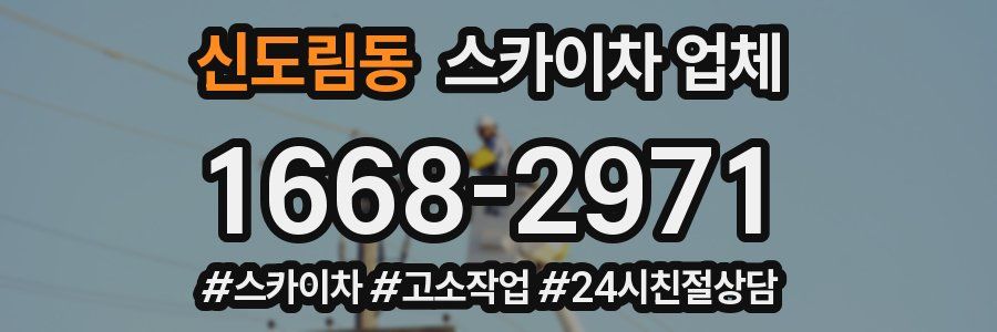 신도림동 스카이차 업체