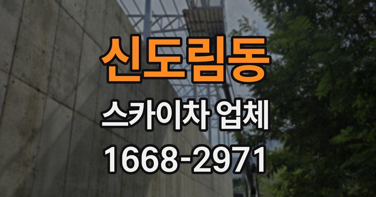 신도림동 스카이차 업체