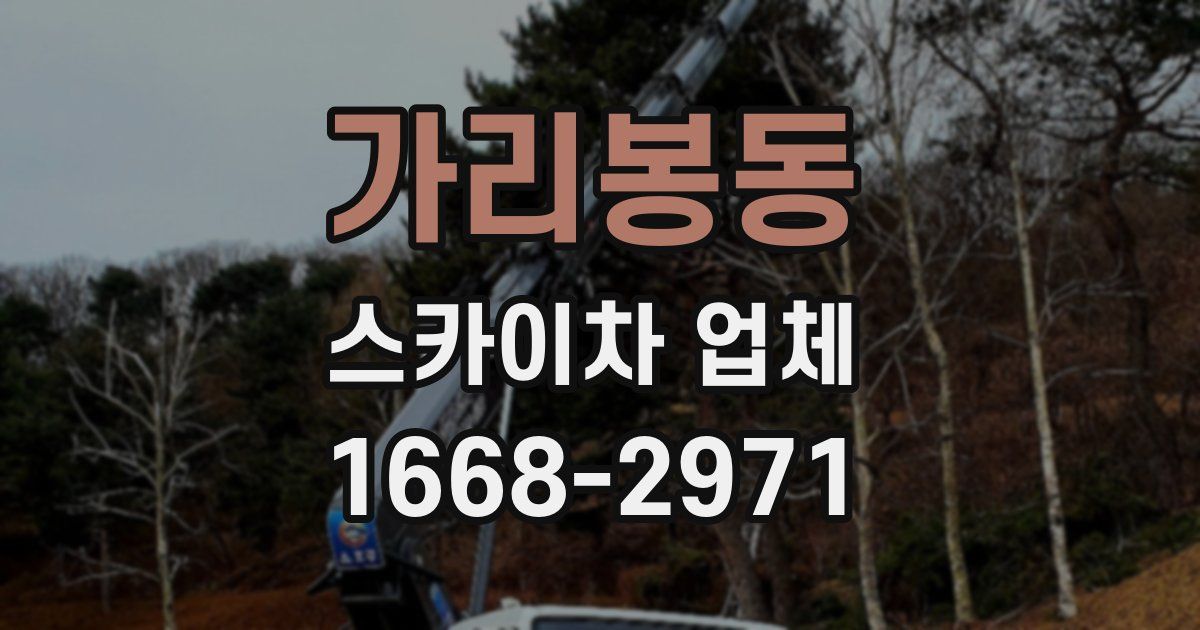 가리봉동 스카이차 업체