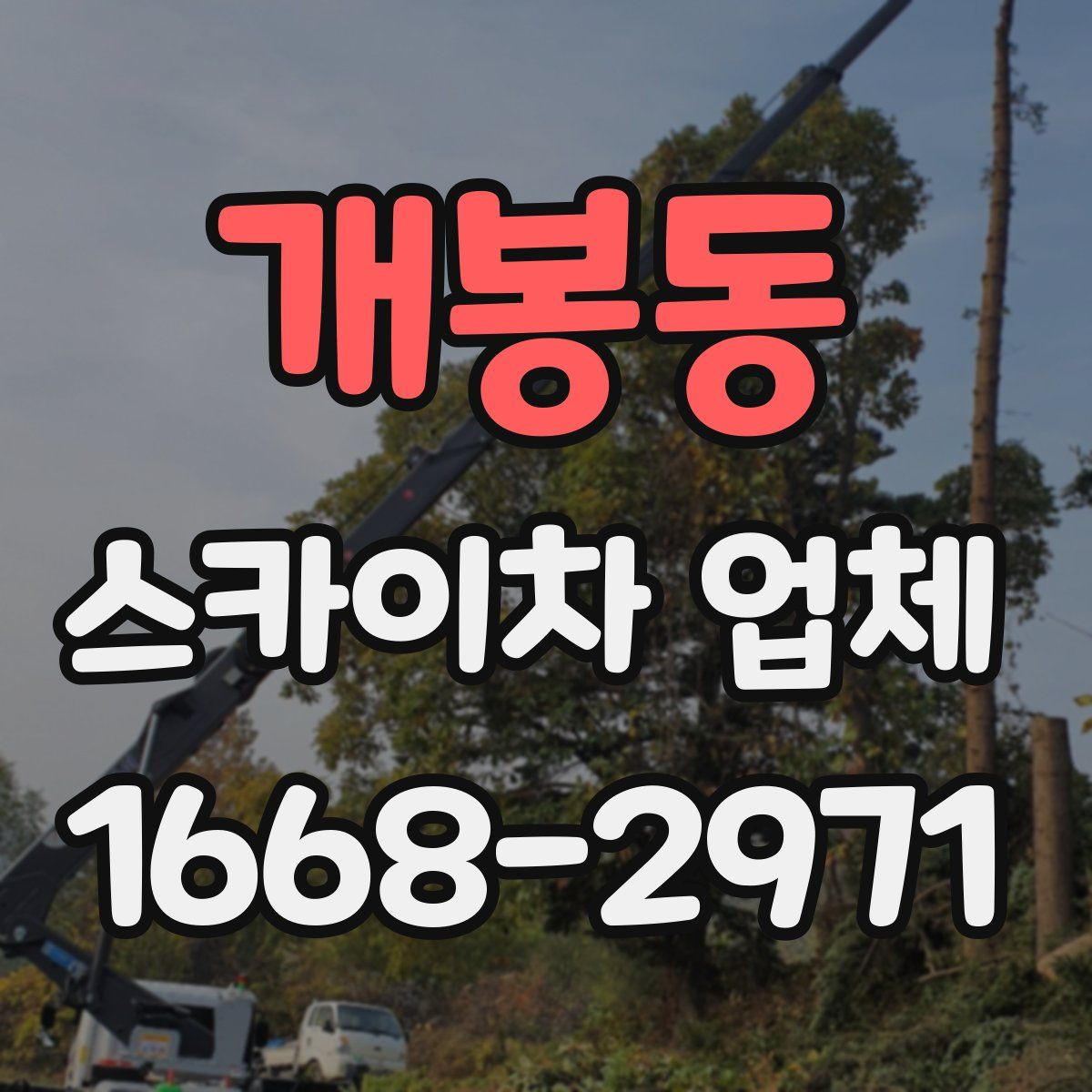 개봉동 스카이차 업체