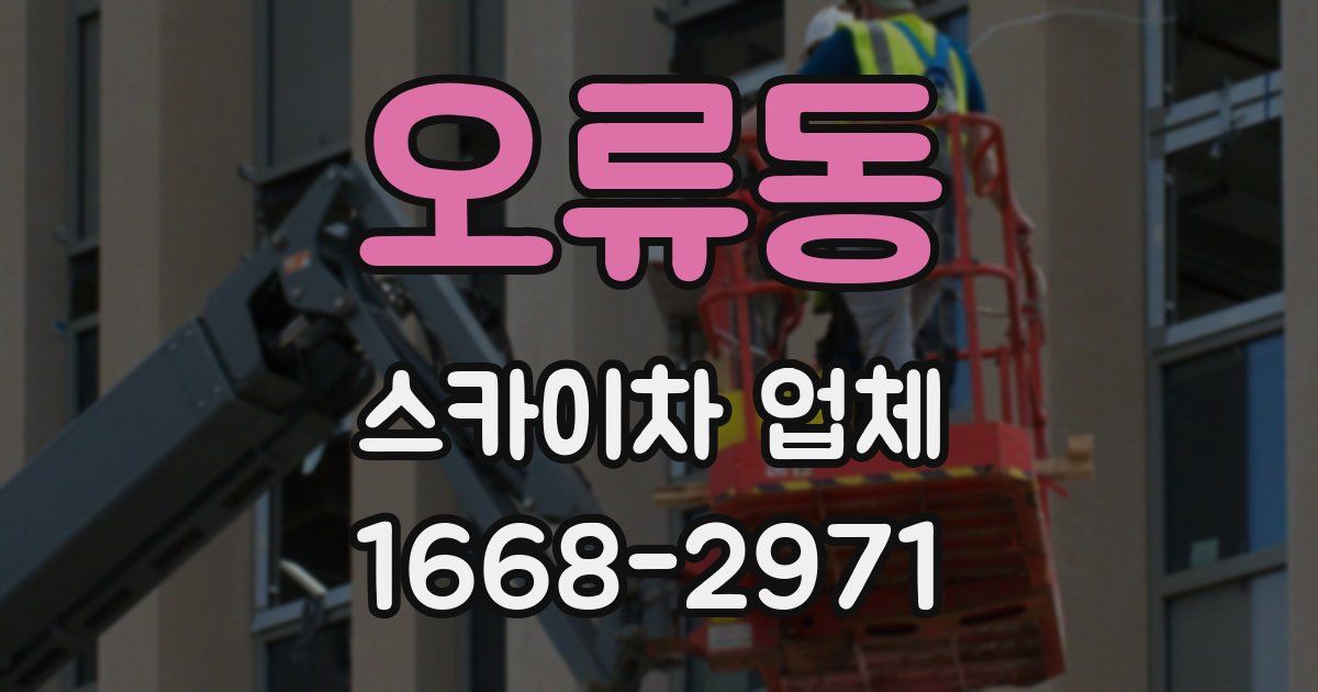 오류동 스카이차 업체