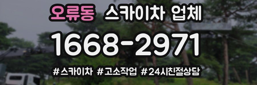 오류동 스카이차 업체