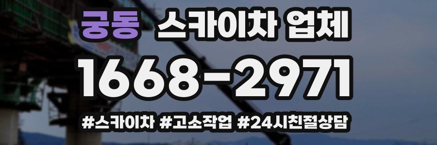 궁동 스카이차 업체