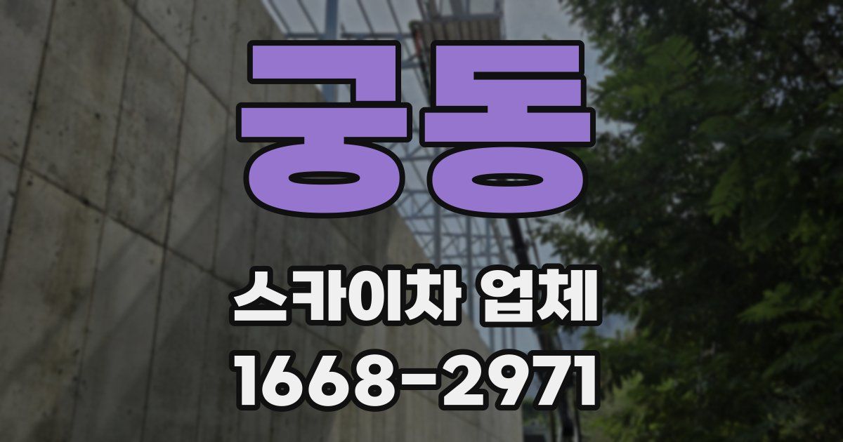 궁동 스카이차 업체