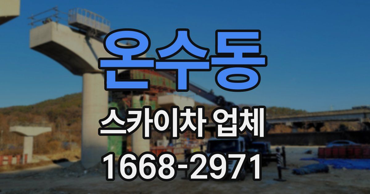 온수동 스카이차 업체