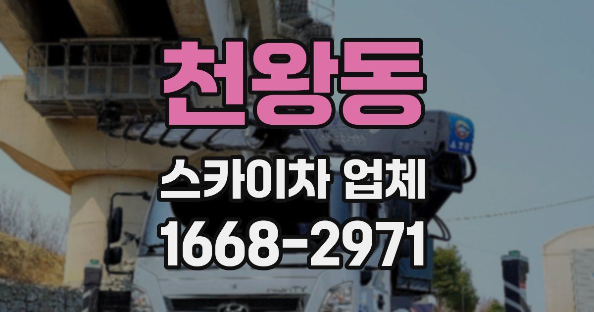천왕동 스카이차 업체