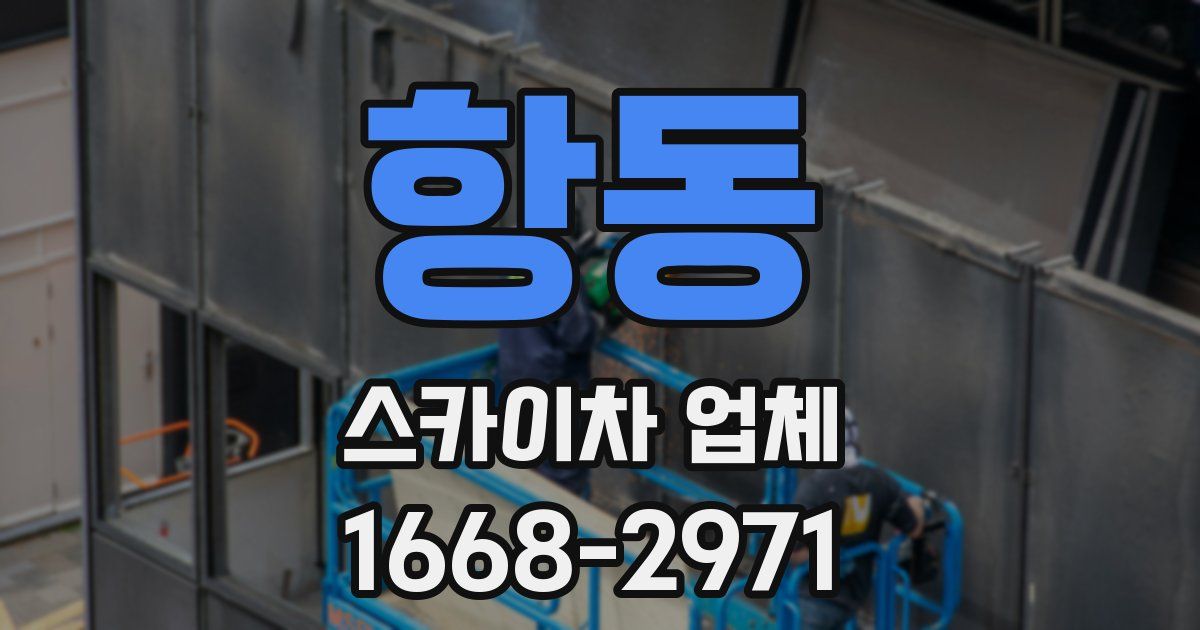 항동 스카이차 업체