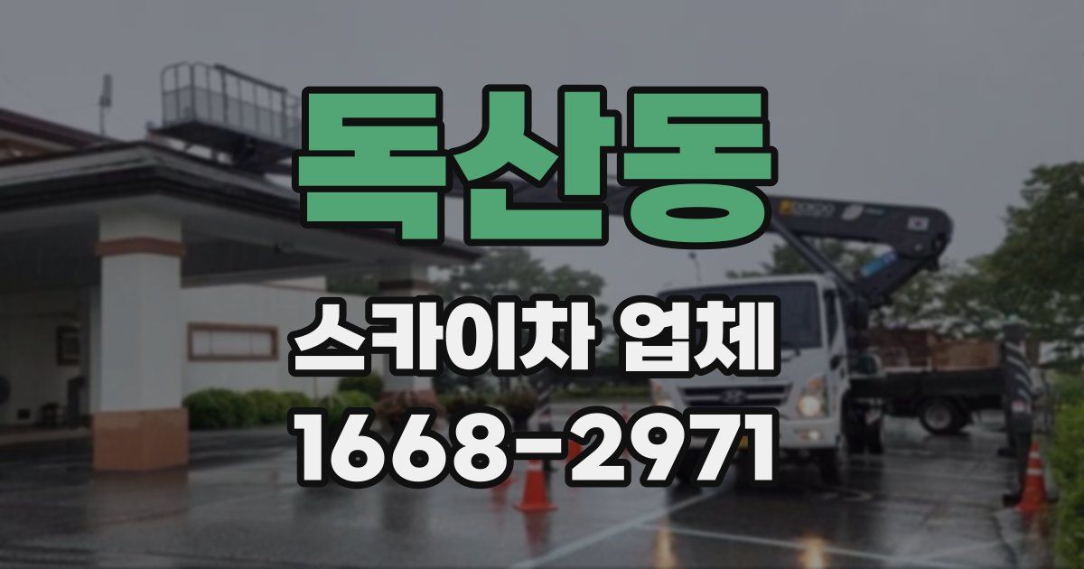 독산동 스카이차 업체