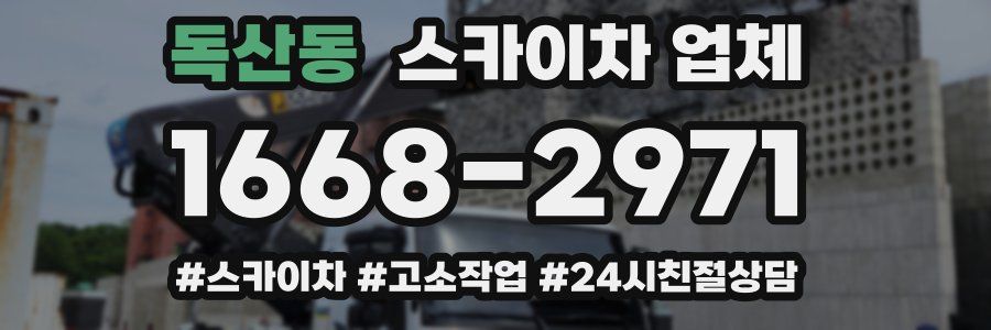 독산동 스카이차 업체