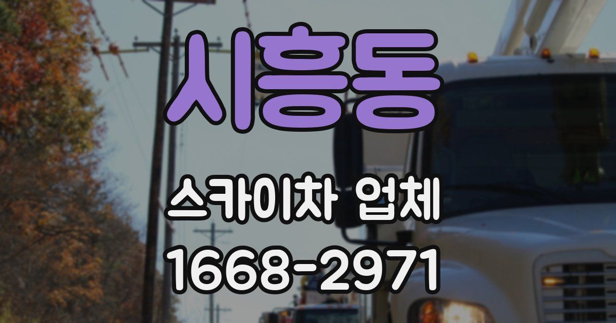 시흥동 스카이차 업체