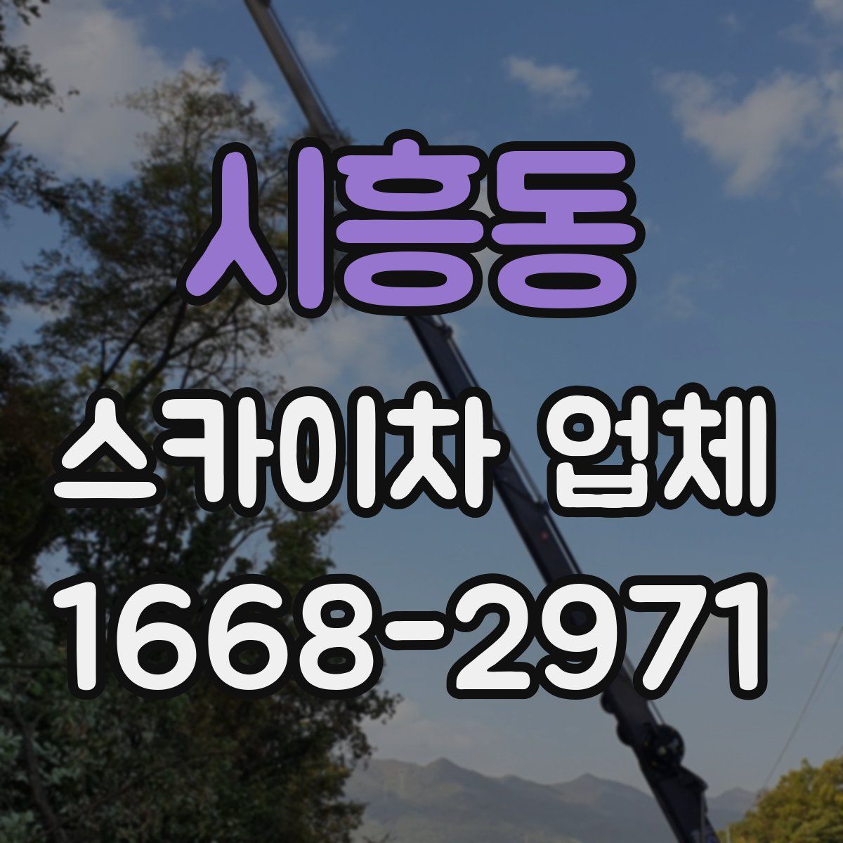 시흥동 스카이차 업체