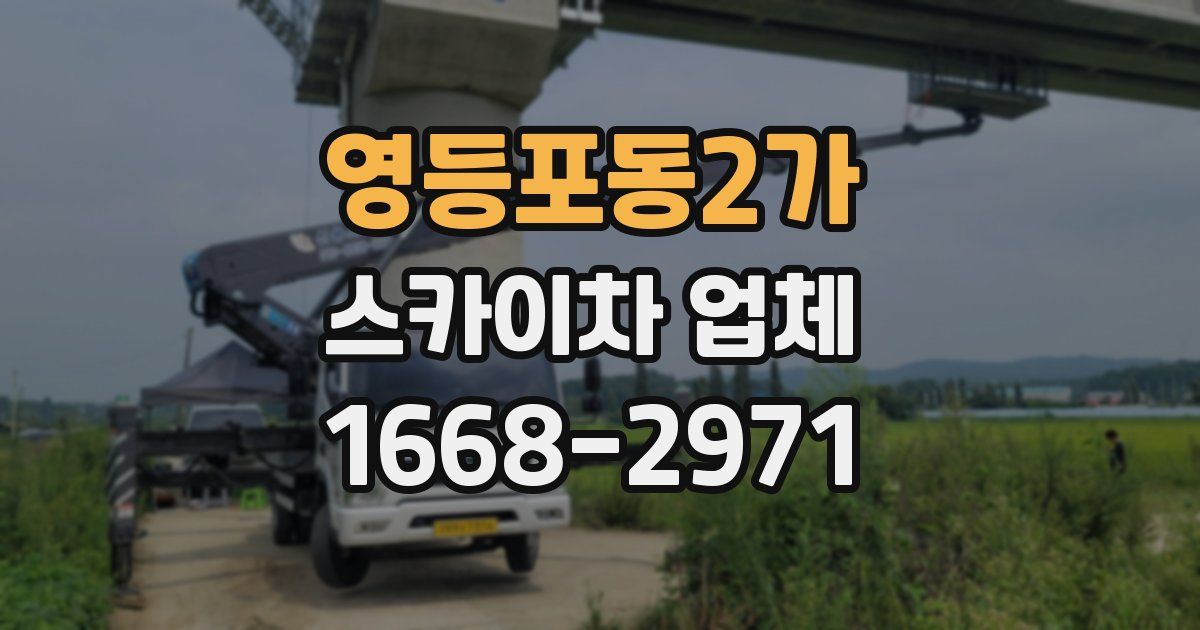 영등포동2가 스카이차 업체