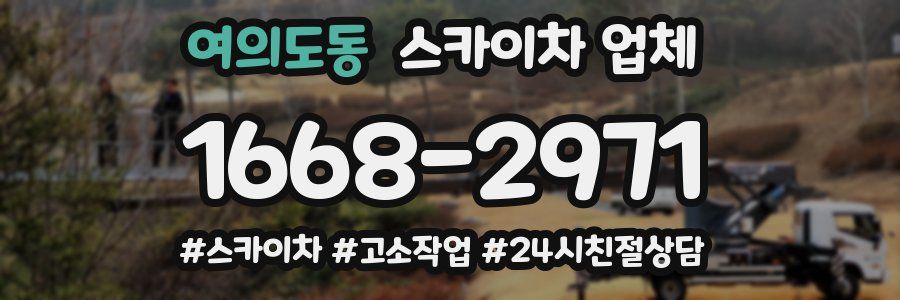여의도동 스카이차 업체