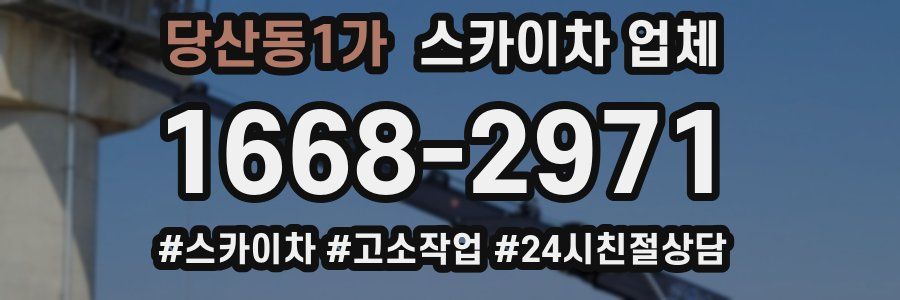 당산동1가 스카이차 업체
