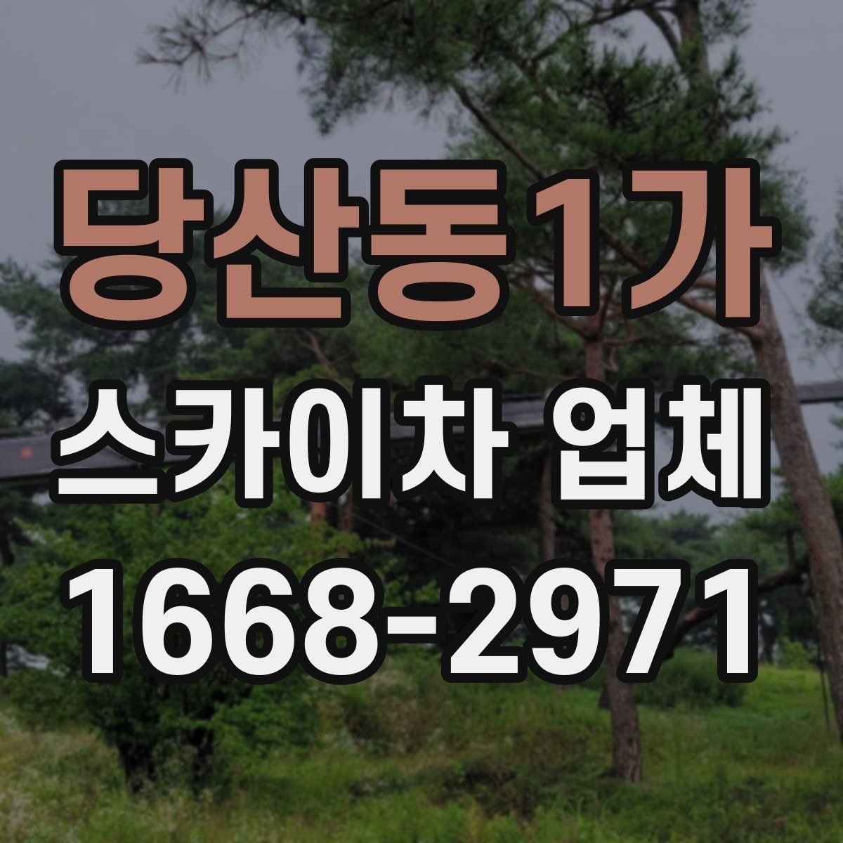 당산동1가 스카이차 업체