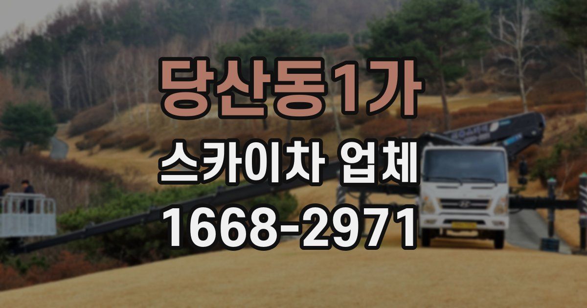 당산동1가 스카이차 업체